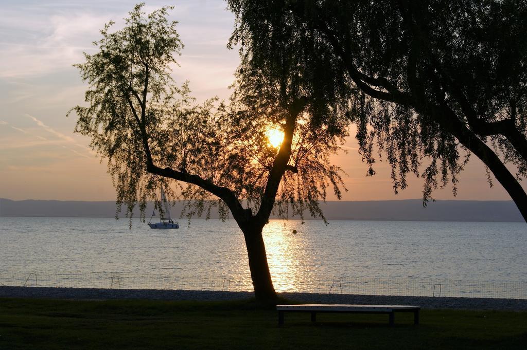 Die Pension Reeh Podersdorf am See Zewnętrze zdjęcie